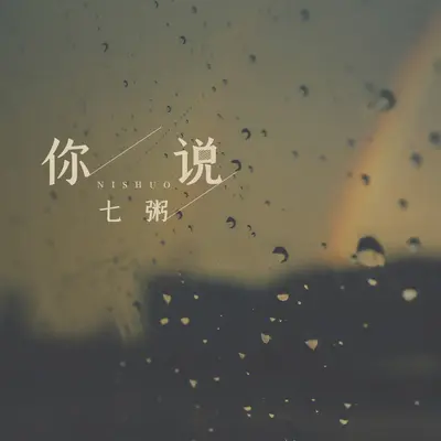 你说(完整版)(完整版)封面