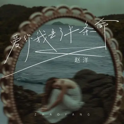 爱你我丢了半条命(DJ九零版)(DJ九零版) - 赵洋封面