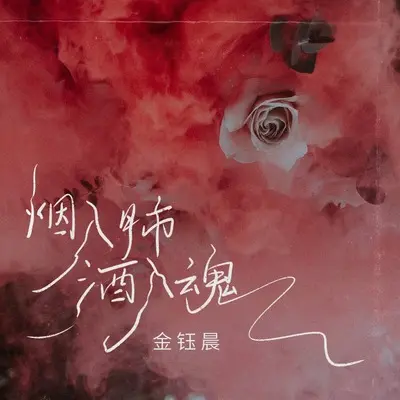 烟入肺酒入魂封面