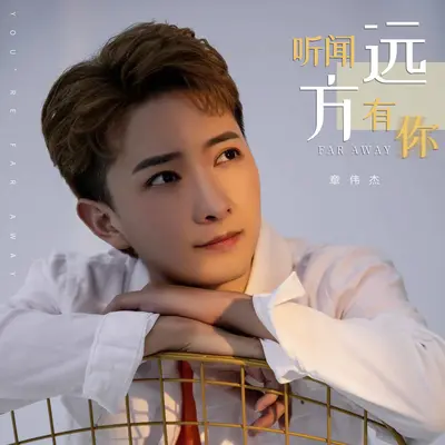 听闻远方有你封面