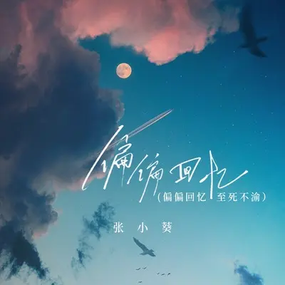 偏偏回忆(偏偏回忆至死不渝)封面