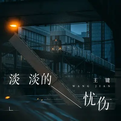 淡淡的忧伤(DJ九零版)(DJ九零版)封面
