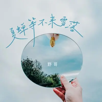 夏蝉等不来雪落(DJ九零版)(DJ九零版)封面