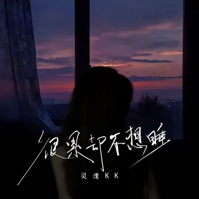很累却不想睡封面
