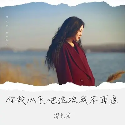 你放心飞吧这次我不再追(伴奏) - 郭飞宏封面
