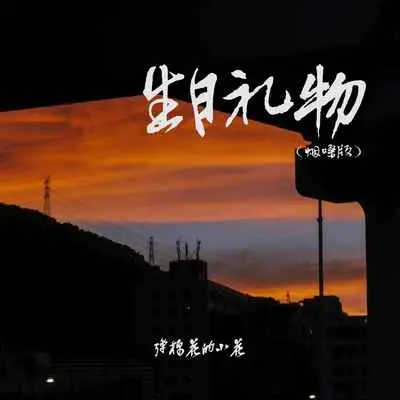 生日礼物(烟嗓版伴奏) - 弹棉花的小花封面