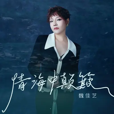 情海中颠簸(DJ默涵版)(DJ默涵版)封面