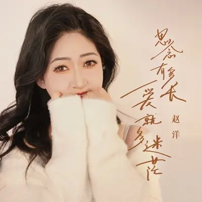 思念有多长爱就多迷茫封面