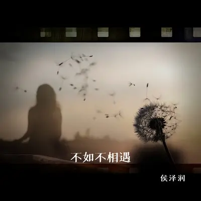 不如不相遇封面