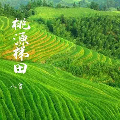 桃源梯田封面