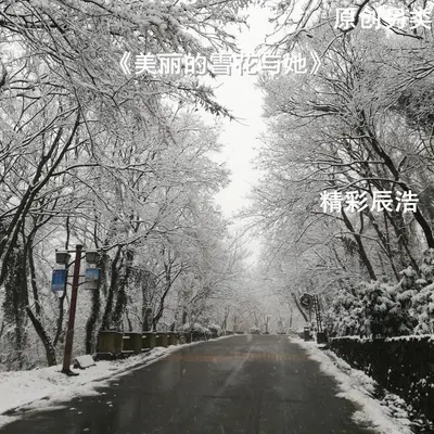 美丽的你与雪花 - 精彩辰浩封面