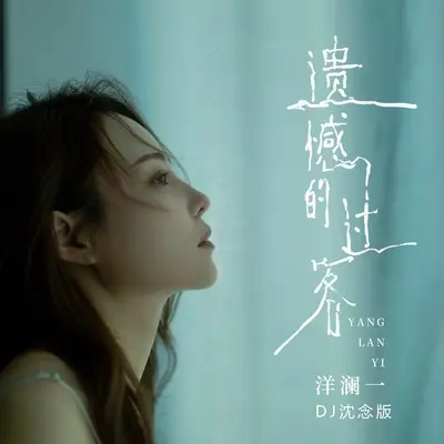 遗憾的过客(DJ沈念版)(DJ沈念版)封面