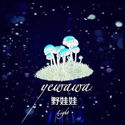 别哭女孩 - 野娃娃乐队封面