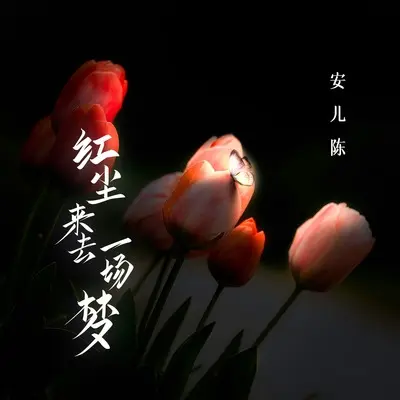 红尘来去一场梦 - 安儿陈封面