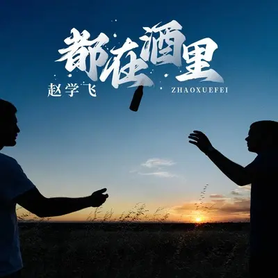都在酒里(DJ版)(DJ版)封面