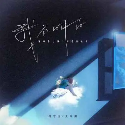 我不明白封面