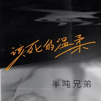 该死的温柔封面