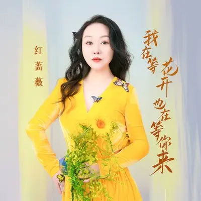 我在等花开也在等你来(DJ九零版)(DJ九零版)封面