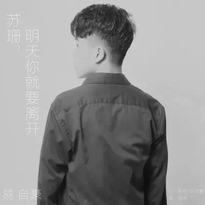 苏珊，明天你就要离开(伴奏) - 易自豪封面