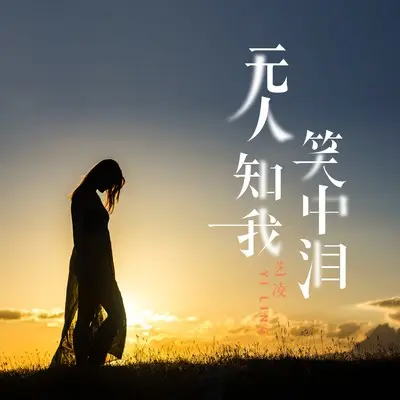 无人知我笑中泪(完整版)(完整版)封面