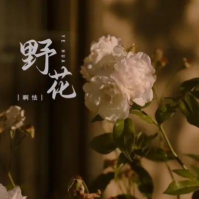 野花封面