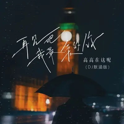 再见吧我最爱的你(DJ默涵版)(DJ默涵版)封面