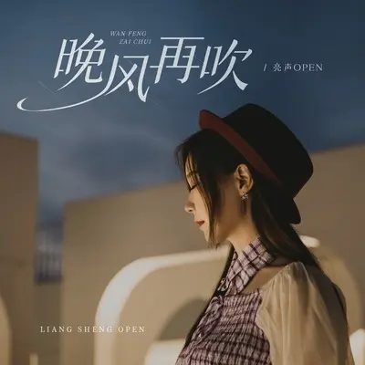 晚风再吹(DJ九零粤语版伴奏) - 亮声open封面