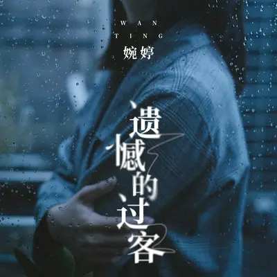 遗憾的过客封面