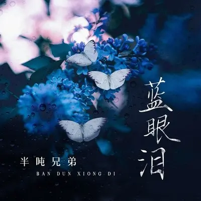蓝眼泪 (DJ九零版)封面