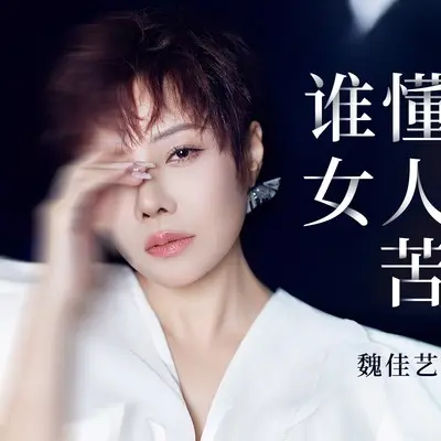 谁懂女人苦封面
