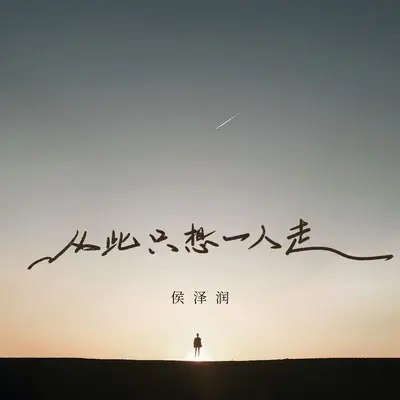 从此只想一人走 (DJ阿本版)封面