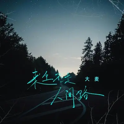 来生不走人间路(DJ默涵版)(DJ默涵版)封面