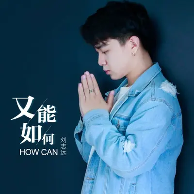 又能如何封面