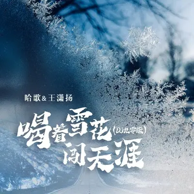 喝着雪花闯天涯(DJ九零版)(DJ九零版) - 哈歌 / 王潇扬封面