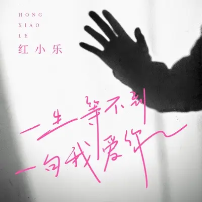 一生等不到一句我爱你封面