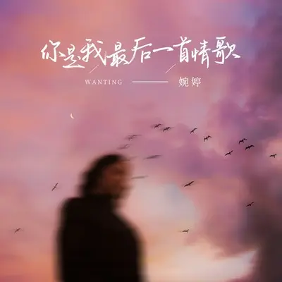 你是我最后一首情歌(DJ版)(DJ版) - 婉婷封面