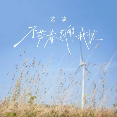 不劳春风解我忧(DJ九零版)(DJ九零版) - 艺凌封面