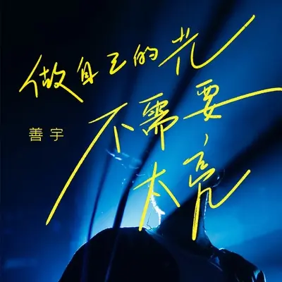做自己的光，不需要太亮(DJ九零版)(DJ九零版)封面
