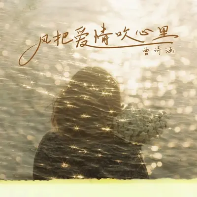风把爱情吹心里(DJ默涵版)(DJ默涵版)封面