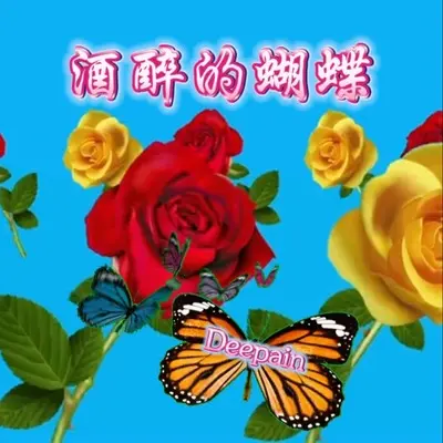 酒醉的蝴蝶封面