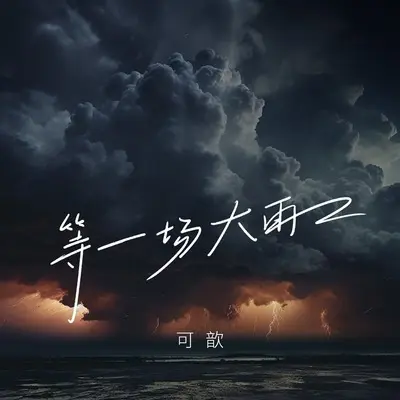 等一场大雨封面