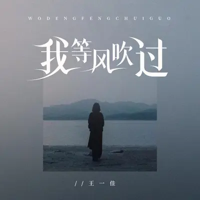 我等风吹过(Live合唱版)(Live合唱版)封面