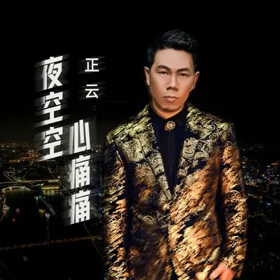 夜空空心痛痛(DJ默涵版)(DJ默涵版) - 正云封面