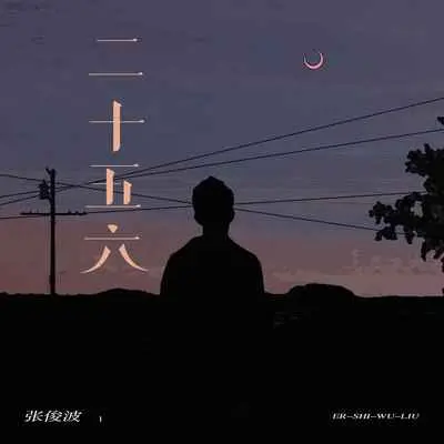 二十五六 - 张俊波封面