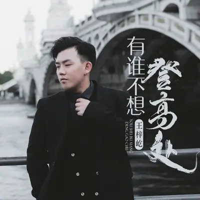 有谁不想登高处封面