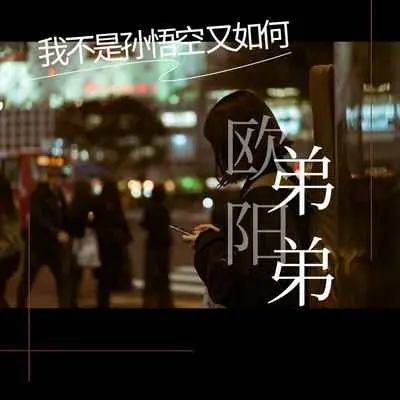 我不是孙悟空又如何封面