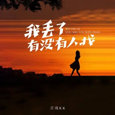 我丢了有没有人找封面