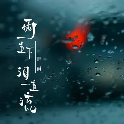 雨一直下泪一直流(DJ版)(DJ版)封面