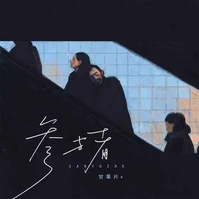 参与者(伴奏) - 甘草片r封面