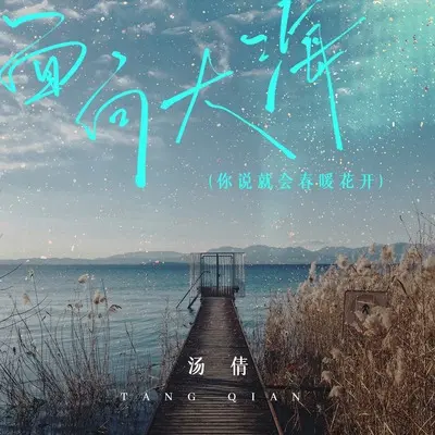 面向大海(你说就会春暖花开)封面